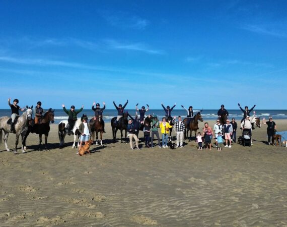 Balade équine à la mer