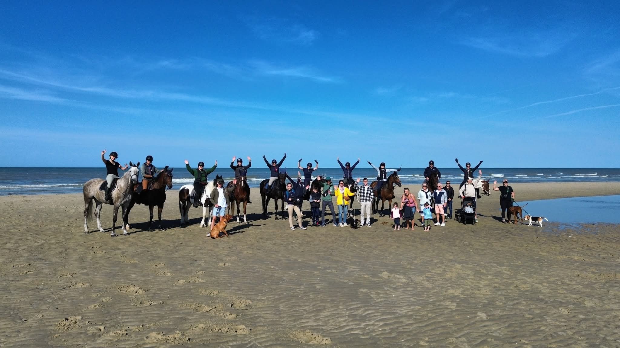 Balade équine à la mer